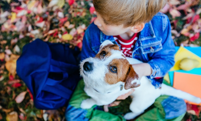 Schon das Streicheln eines Hundes senkt nachweislich den Stresspegel – Hunde gelten in der Pädagogik als „Medikamente ohne Nebenwirkungen“. © Iryna/Adobe Stock